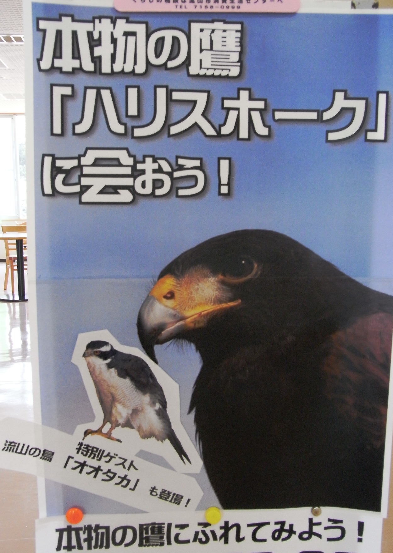 油絵 あらんぼん様専用 仲良く集まるくちばしの小さな鳥たち 密